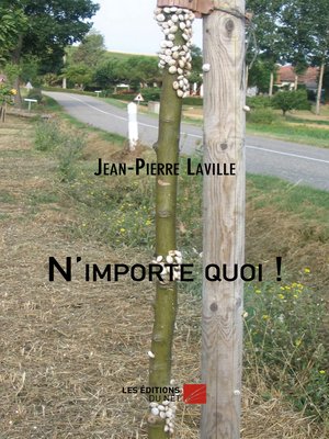 cover image of N'importe quoi !